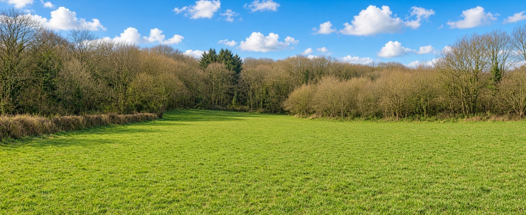 Terrain à bâtir de 9344 m² à LUGNY (71)