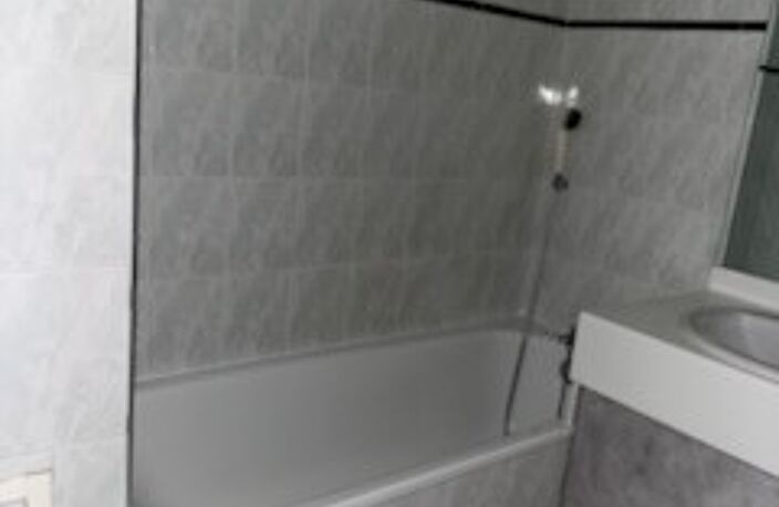 Location appartement 2 pièces 50 m² à Villeurbanne (69100) — photo 4