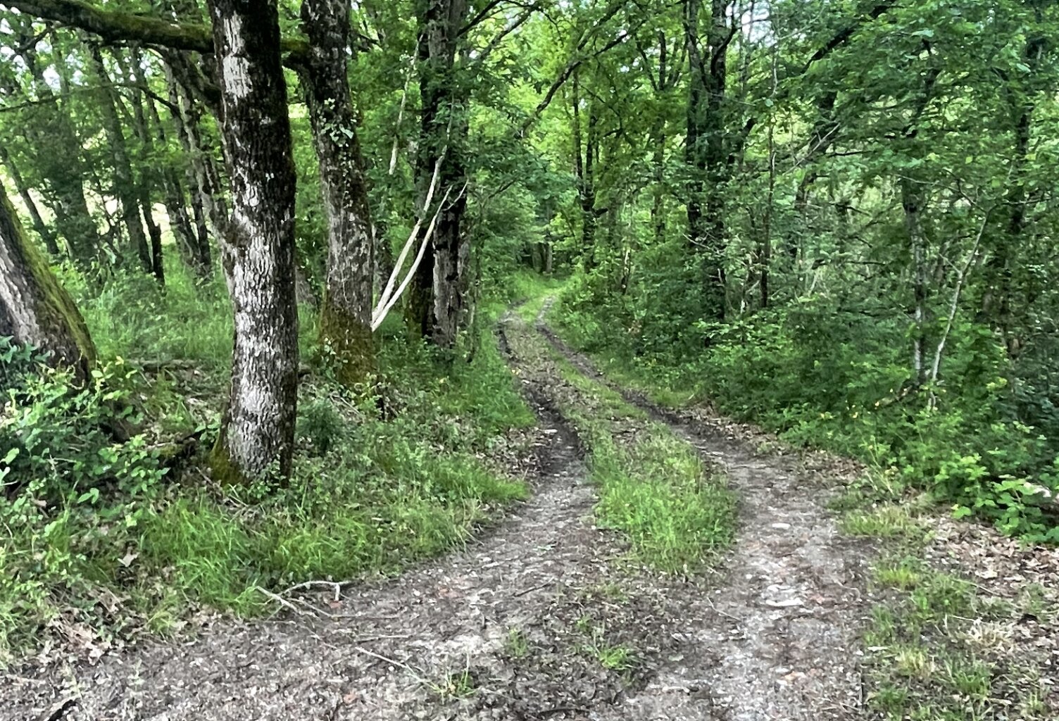 Vente Terrain 8 500 m&sup2; — photo 1