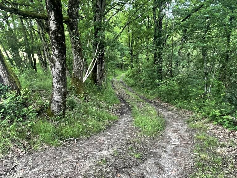 Vente Terrain 8 500 m&sup2; — photo 1
