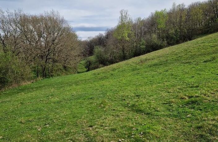 Vente Terrain 8 500 m&sup2; — photo 2