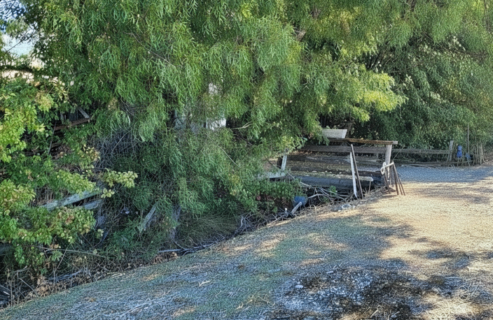 Vente Terrain 11 299 m&sup2; — photo 2