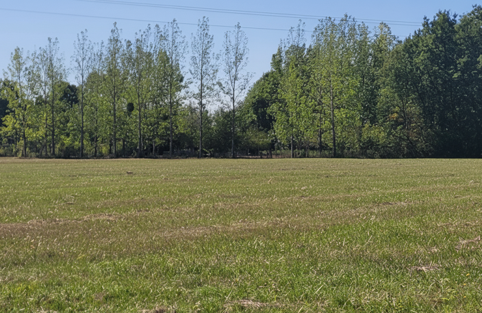 Vente Terrain 11 299 m&sup2; — photo 5
