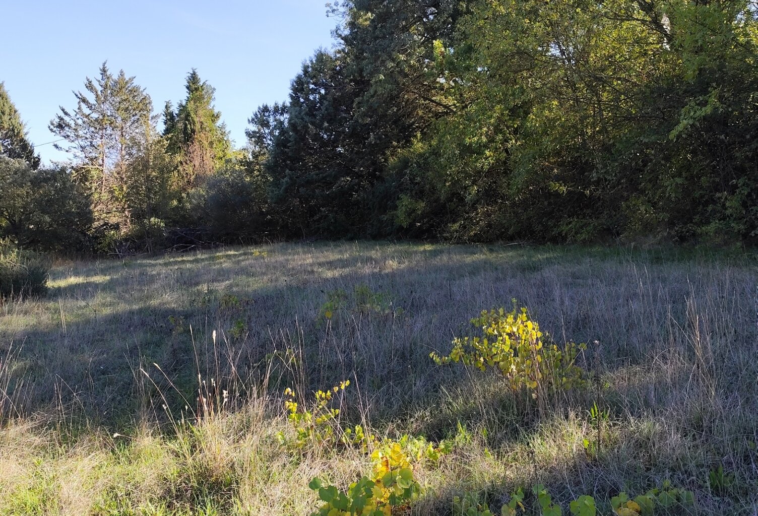 Vente Terrain à bâtir 1 369 m&sup2; — photo 1