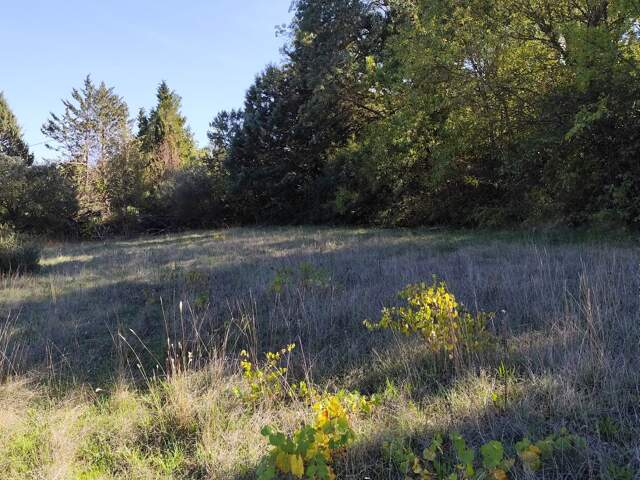 Vente Terrain à bâtir 1 369 m&sup2; — photo du bien