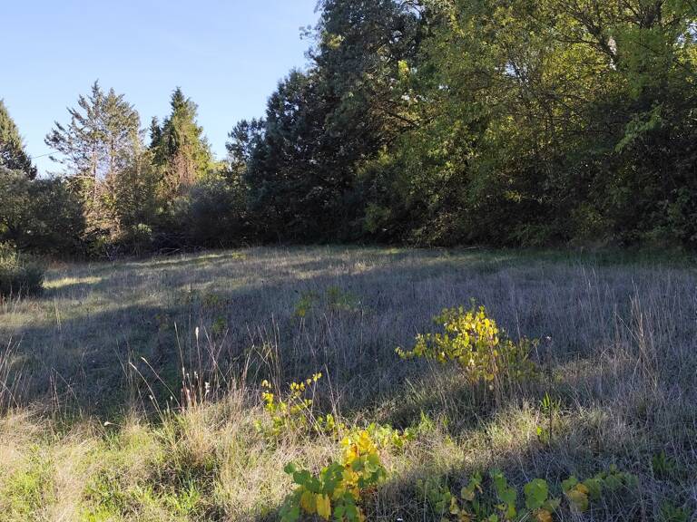 Vente Terrain à bâtir 1 369 m&sup2; — photo 1