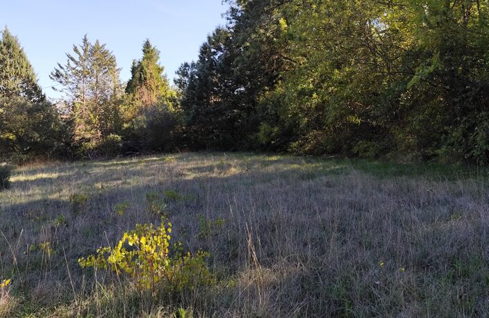 Vente Terrain à bâtir 1 369 m&sup2; — photo 2