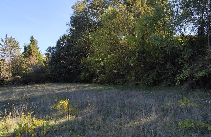 Vente Terrain à bâtir 1 369 m&sup2; — photo 4