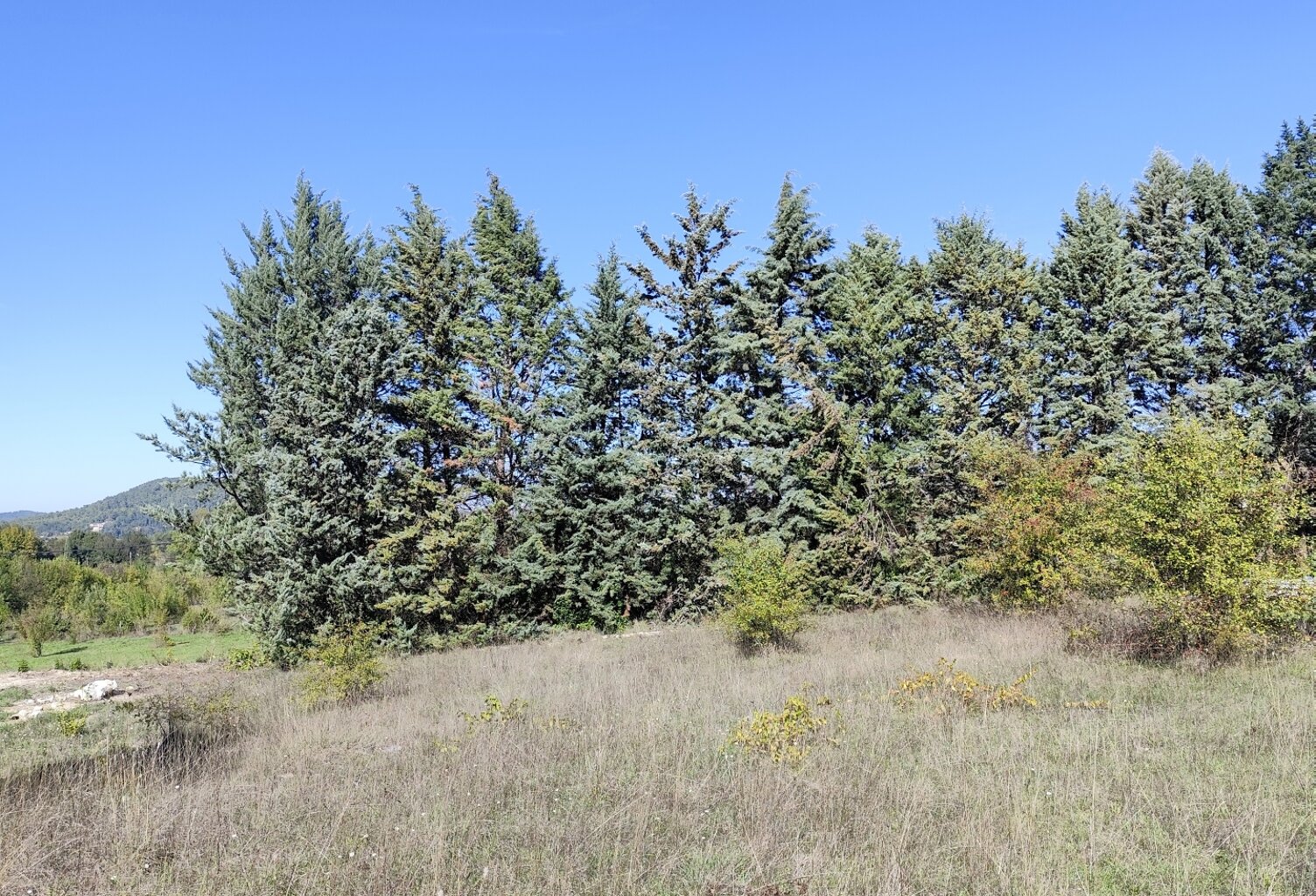 Vente Terrain à bâtir 1 065 m&sup2; — photo 1