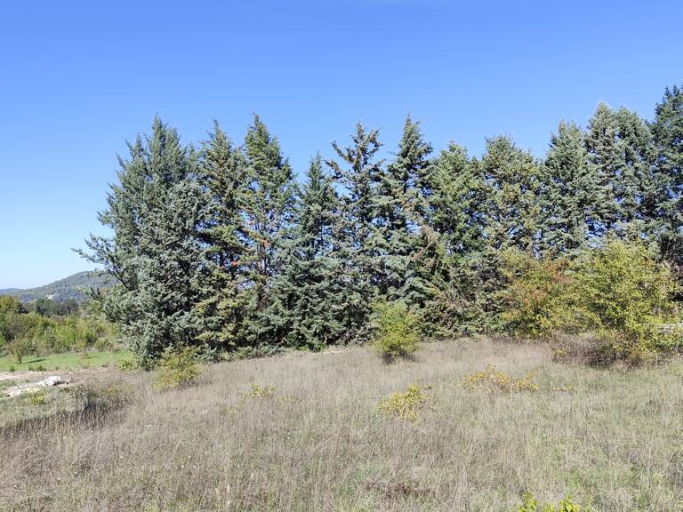 Vente Terrain à bâtir 1 065 m&sup2; — photo 1