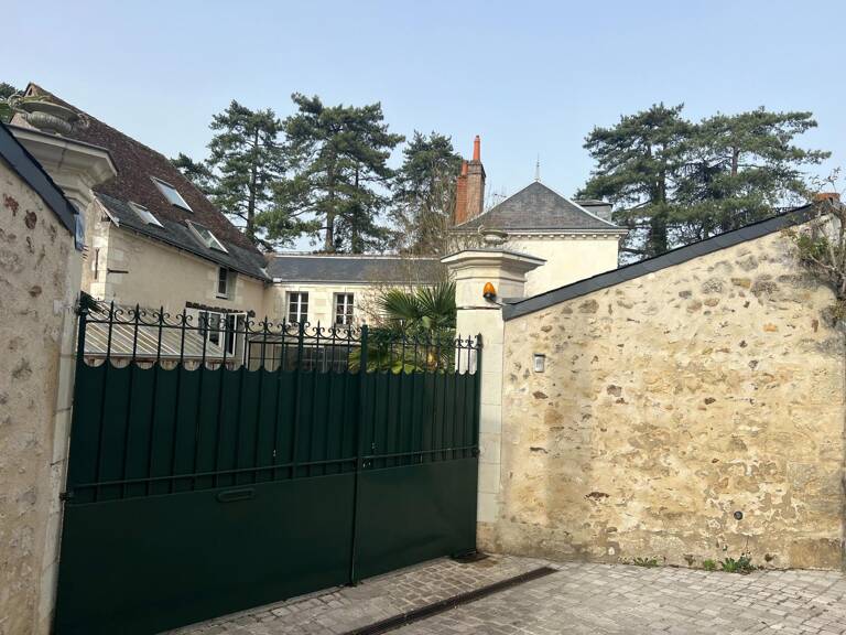 Rare sur Saint Avertin — photo 1