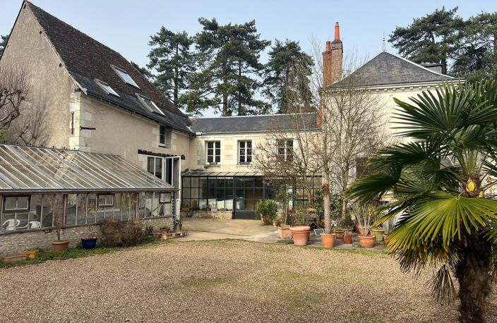 Rare sur Saint Avertin — photo 2