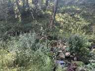 EXCLUSIVITÉ - TERRAIN DE 1 716 M² AVEC DEUX RUINES EN PIERRE — photo 3