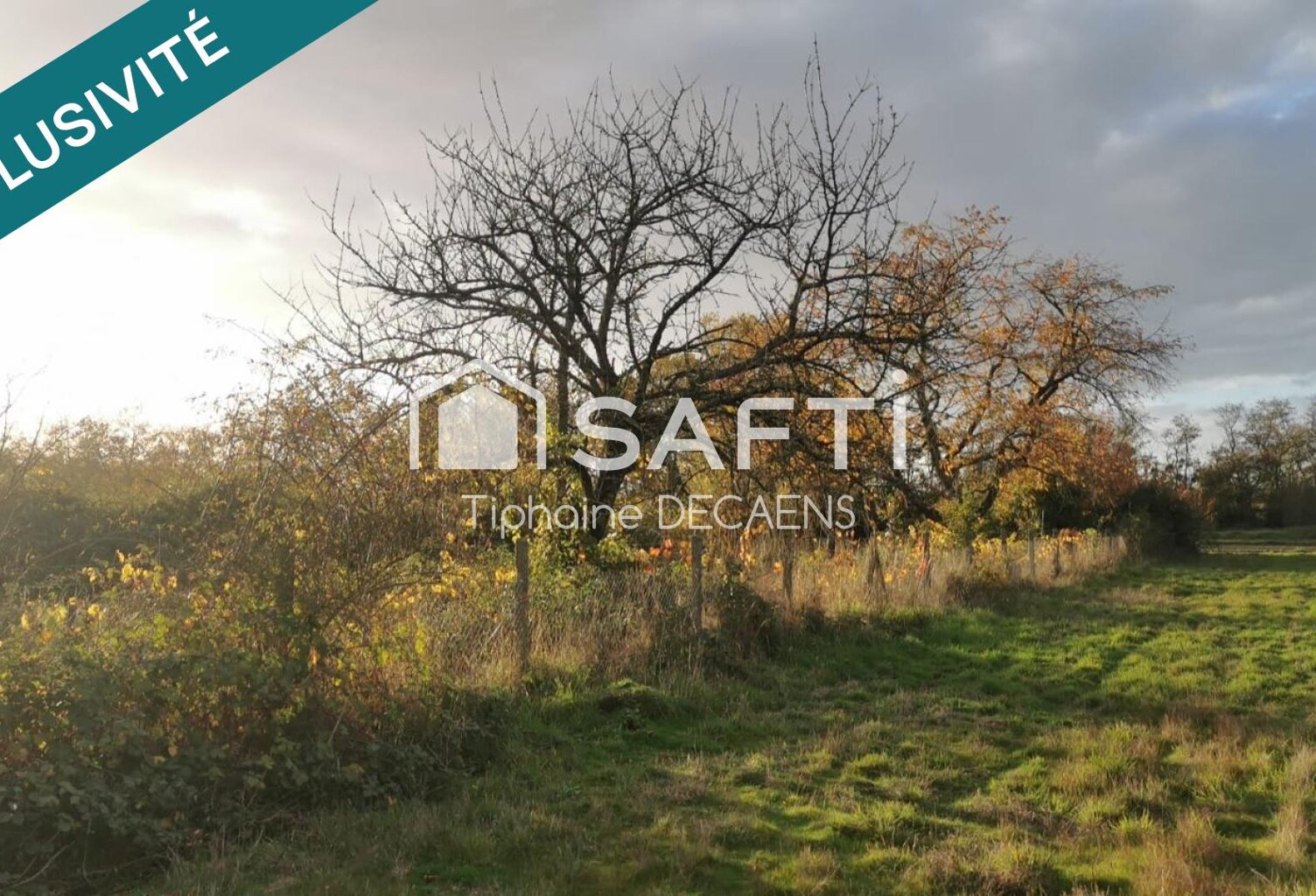 Terrain de loisir, Verger — photo 1