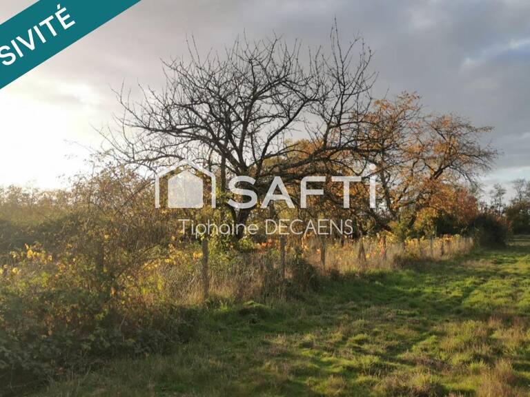 Terrain de loisir, Verger — photo 1