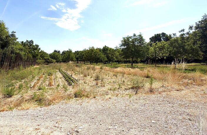Alleins, maison de campagne 130m² sur 1,7hectares — photo 3