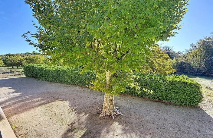 Alleins, maison de campagne 130m² sur 1,7hectares — photo 4