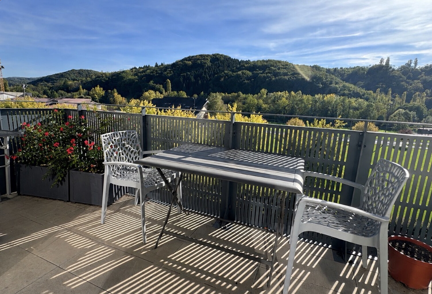 VIAGER OCCUPE - FRANGY, T2  dernier étage avec balcon et gar — photo 1
