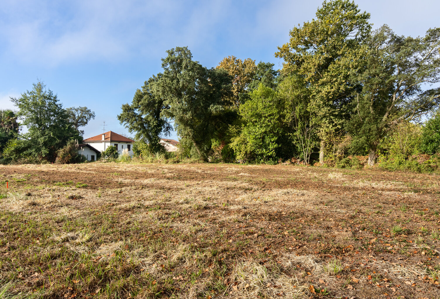 Ondres - terrain - 2185 m2 — photo 1