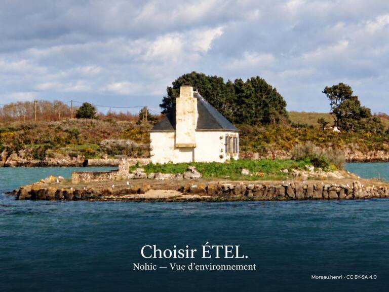 ÉTEL  Votre maison, votre jardin, votre signature — photo 1