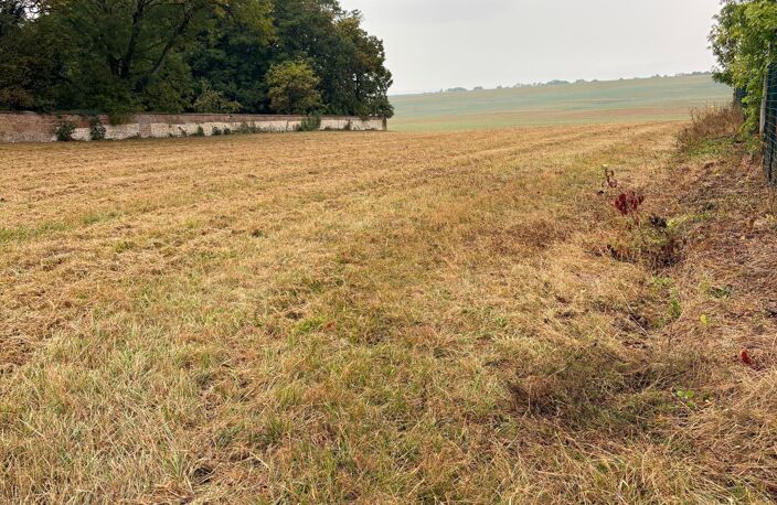 Terrain à bâtir plat — photo 2