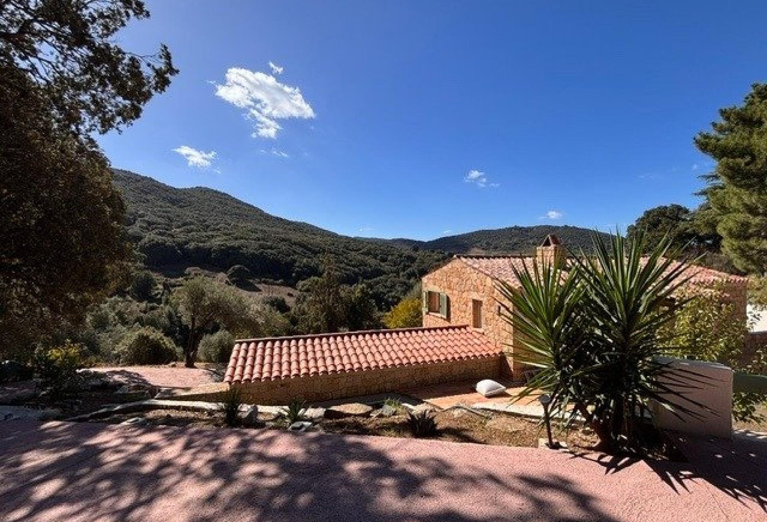 SARTÈNE  AUTHENTIQUE VILLA ESPRIT BERGERIE SUR UN BEAU TERRAIN DE 2360M2 - CALME ABSOLU — photo 1