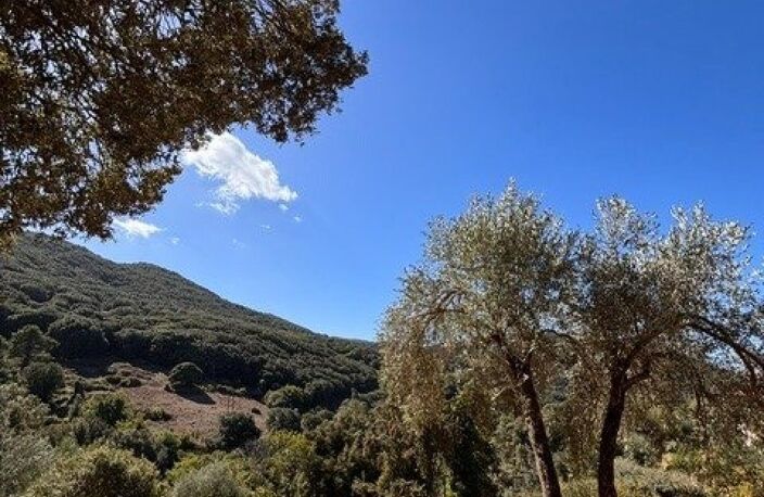 SARTÈNE  AUTHENTIQUE VILLA ESPRIT BERGERIE SUR UN BEAU TERRAIN DE 2360M2 - CALME ABSOLU — photo 4