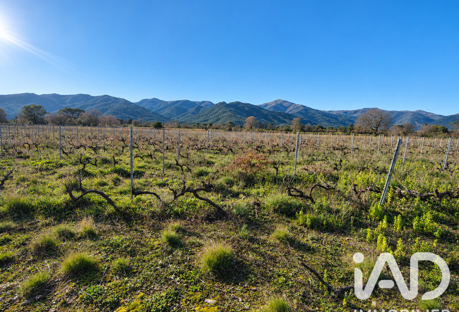 Vente Terrain agricole 18 000 m&sup2; — photo 1