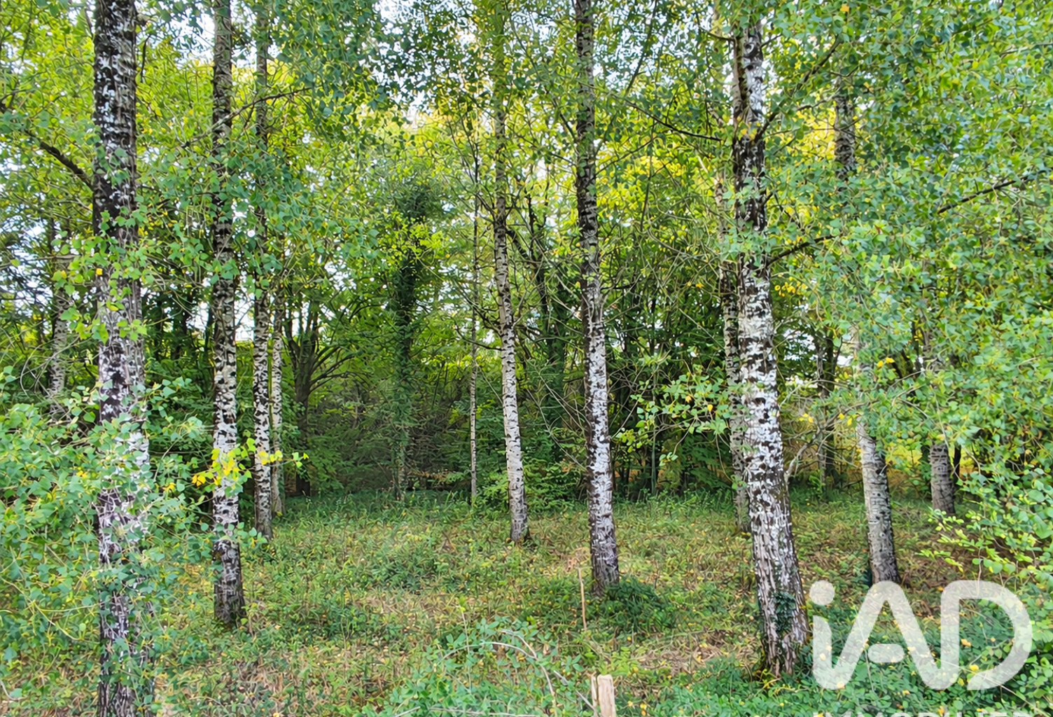 Vente Terrain 4 545 m&sup2; — photo 1
