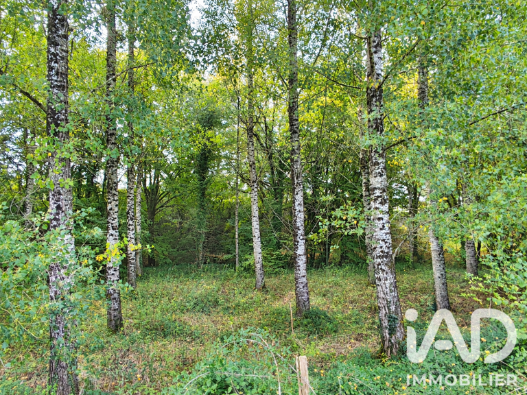 Vente Terrain 4 545 m&sup2; — photo 1