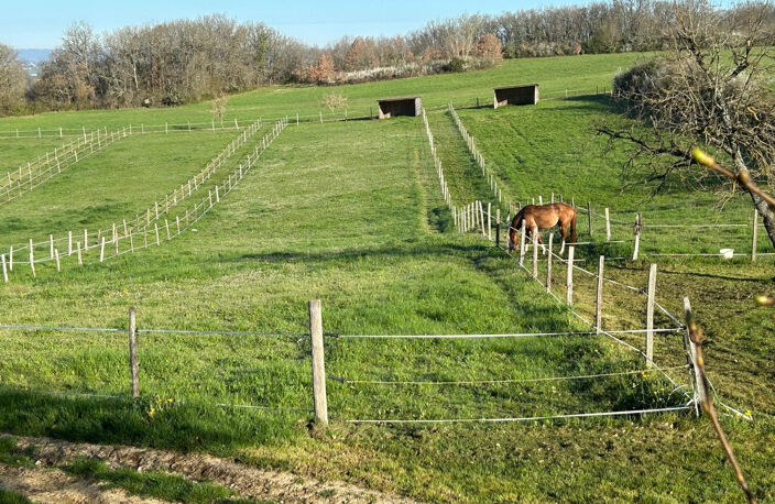 CENTRE ÉQUESTRE ET ÉCURIE DE PROPRIÉTAIRES   PLUS DE 10 HECT — photo 3