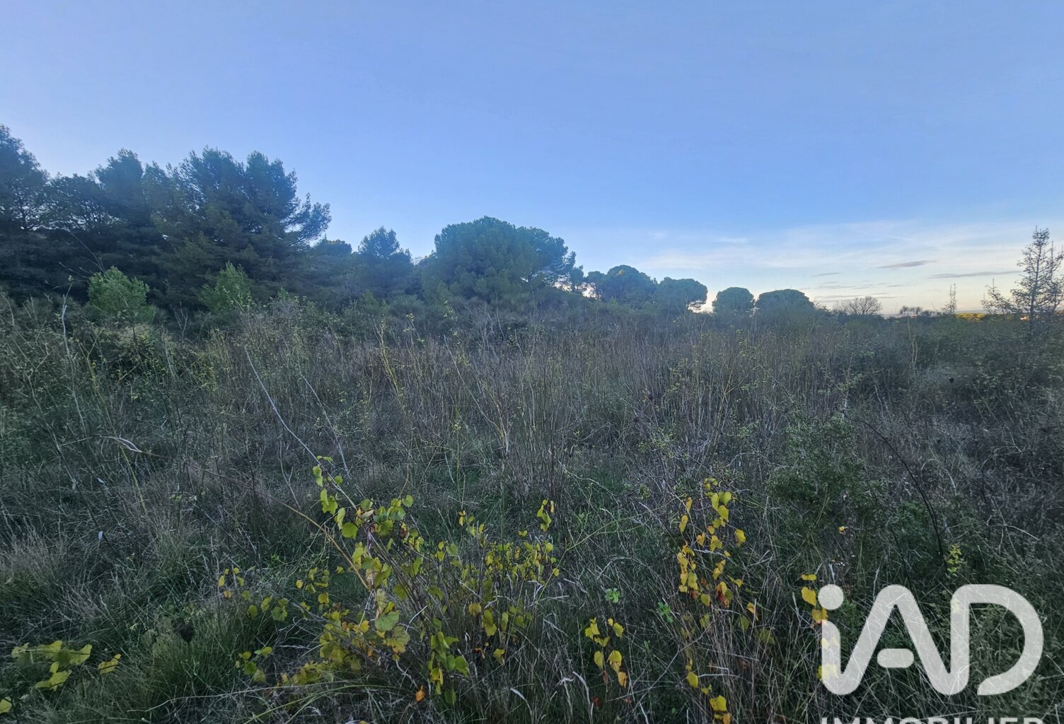 Vente Terrain 9 920 m&sup2; — photo 1