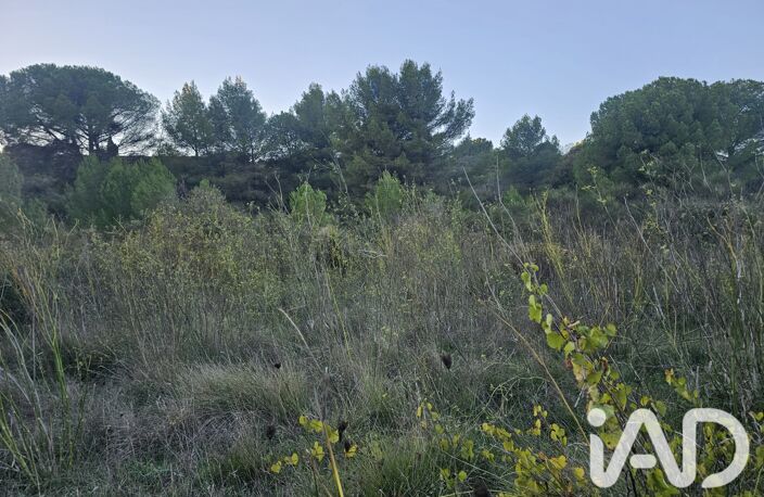 Vente Terrain 9 920 m&sup2; — photo 2