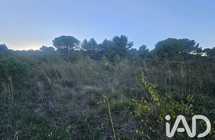 Vente Terrain 9 920 m&sup2; — photo 3