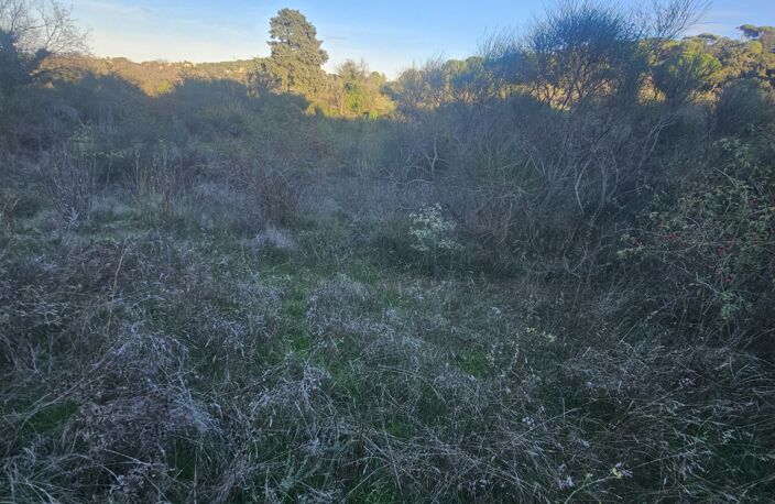 Vente Terrain 9 920 m&sup2; — photo 4