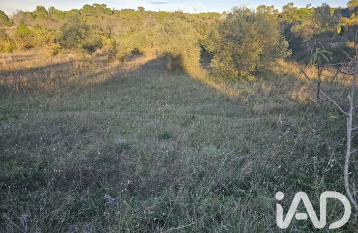 Vente Terrain 12 520 m&sup2; — photo 3