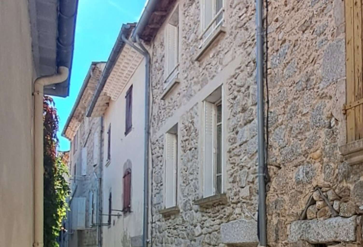 Charmante maison de village au porte du mas de la barque — photo 1