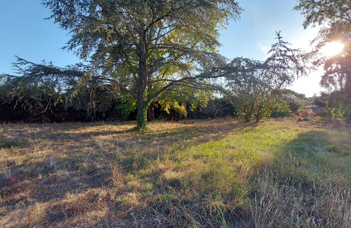 Beauzelle - Terrain - 620 m² — photo 3
