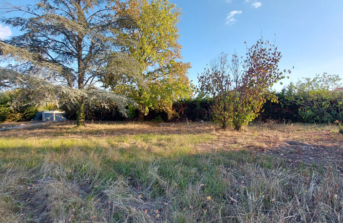 Beauzelle - Terrain - 620 m² — photo 4