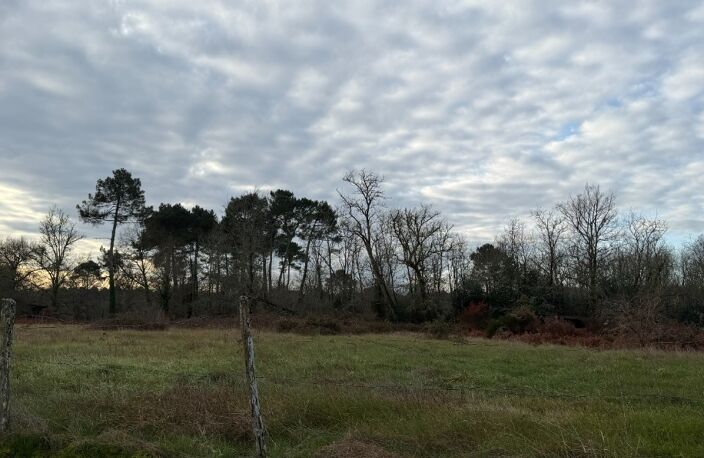 Maison à construire à Roaillan (33210) — photo 2