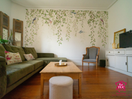T3 Hausmanien — photo 4