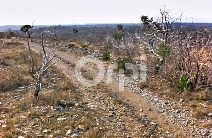 Terrain non constructible 21 025 m² — photo 4