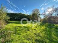 Terrain À Vendre 5 960 m² — photo 4