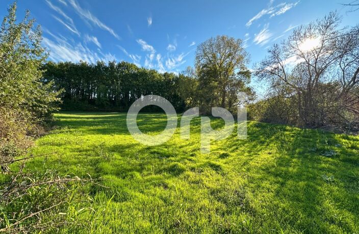Terrain À Vendre 5 960 m² — photo 4