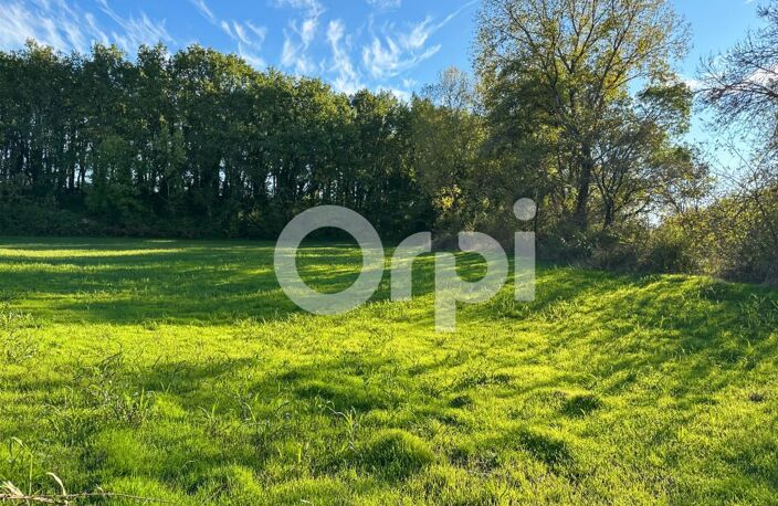 Terrain À Vendre 5 960 m² — photo 5