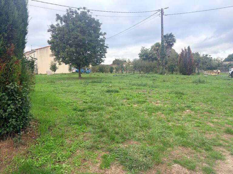 SAINT-CÉSAIRE – BEAU TERRAIN VIABILISÉ DE 625 m² — photo 1