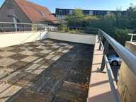 Maison de 88m2 à louer sur Sarreguemines — photo 3