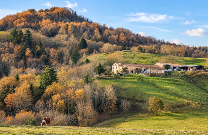 corps de ferme rénové en pleine nature des hautes corbières — photo 4