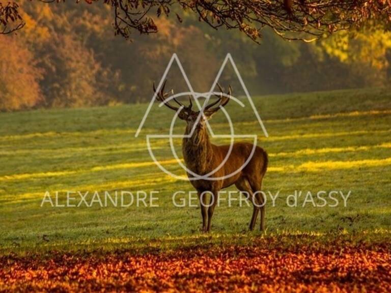 Domaine de chasse exceptionnel de 800 hectares — photo 1