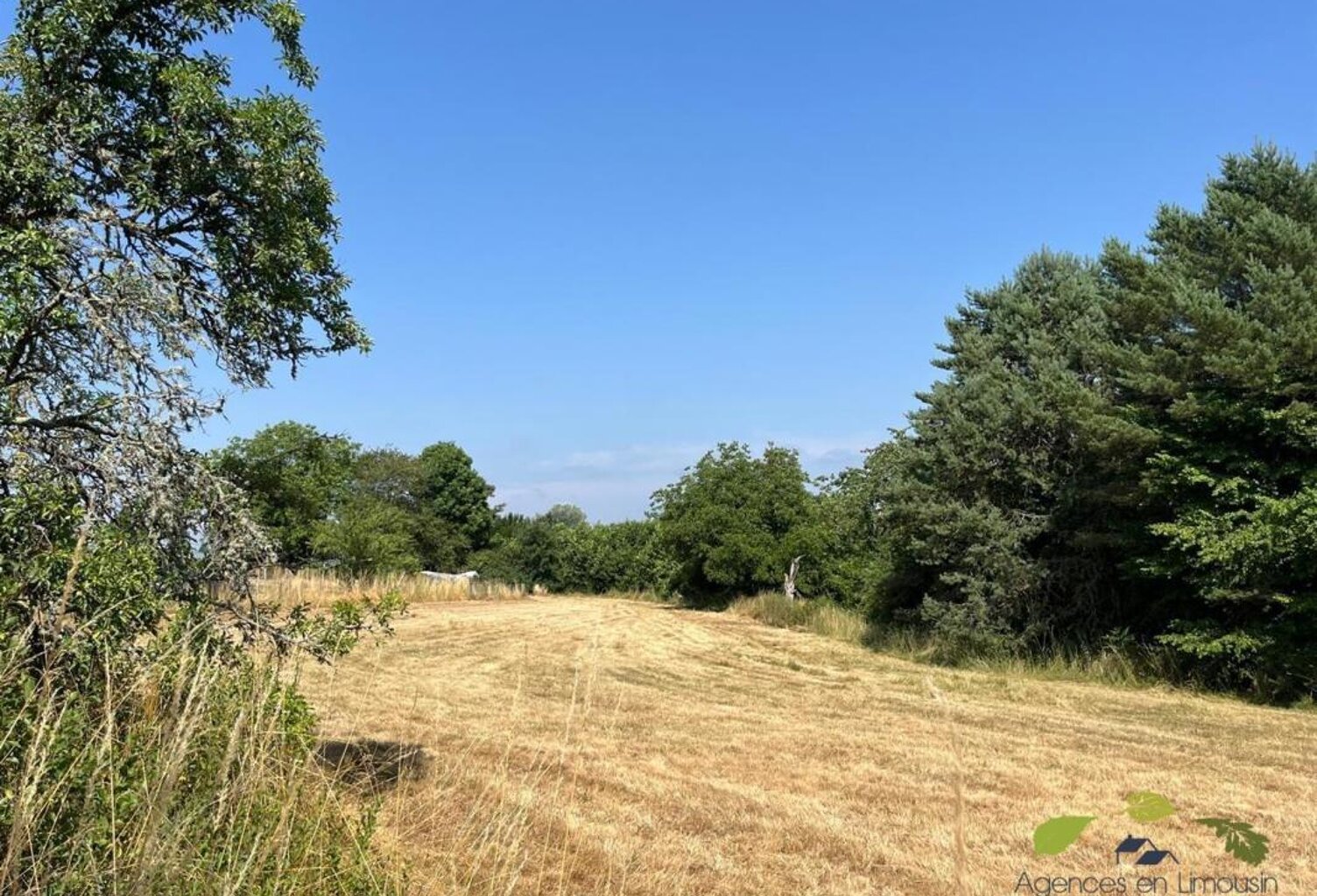 HAUTE VIENNE — photo 1
